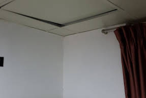 Image of Budget Hostel